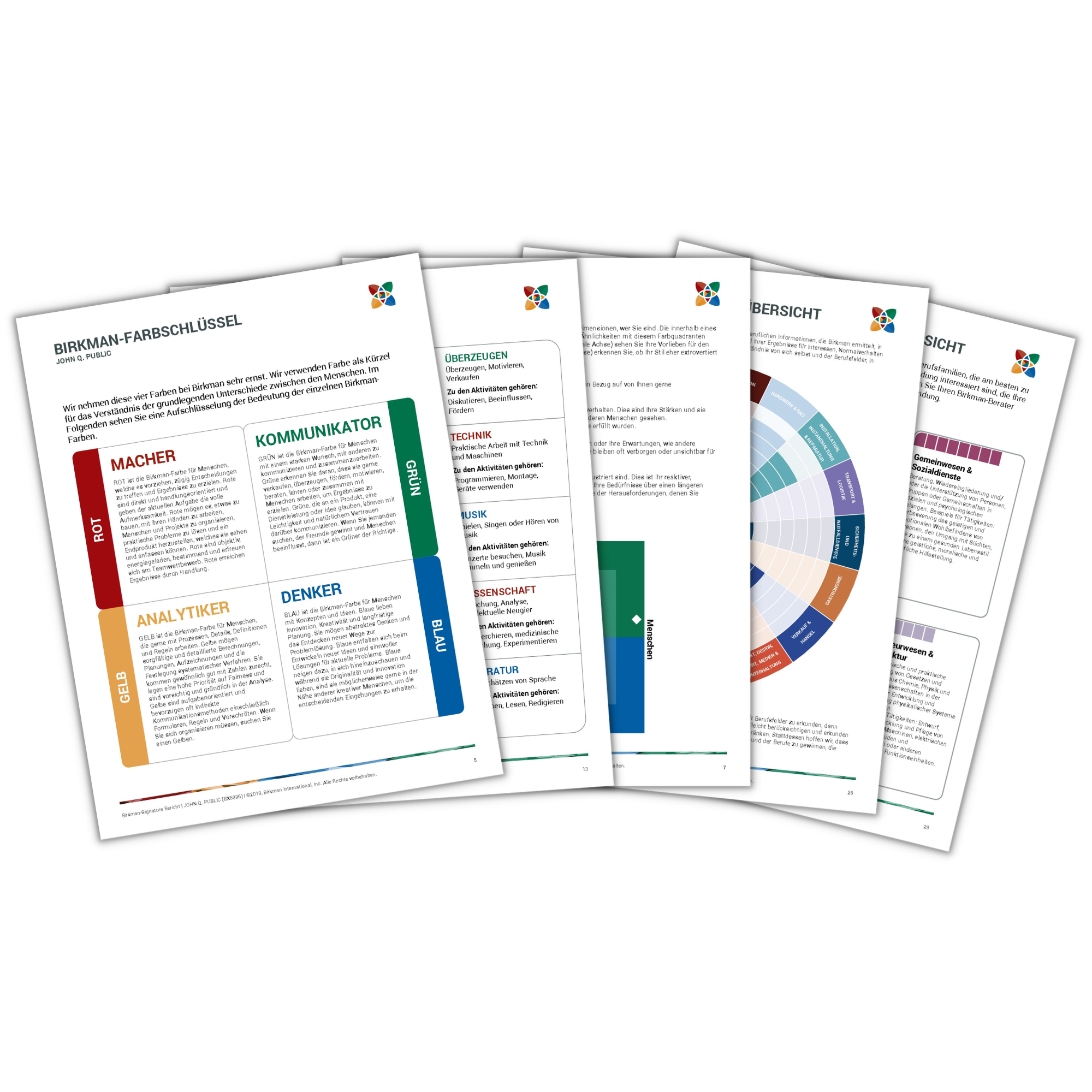 Beispielhafte Birkman Profilseiten aus dem Assessment-Report
